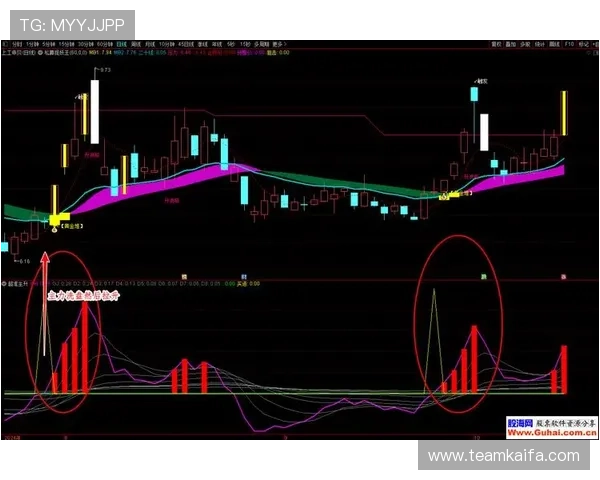 凯发体育网页版如何利用专业数据分析提升投注胜率的实用建议